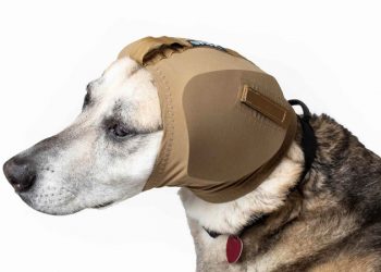 Ohrschutz für Hunde